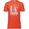 3065 Adult Extra Soft Tri-Blend T-Shirt Thumbnail